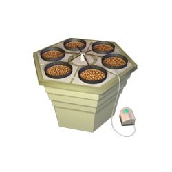 EcoGrower