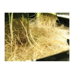 Gro Tank GT604