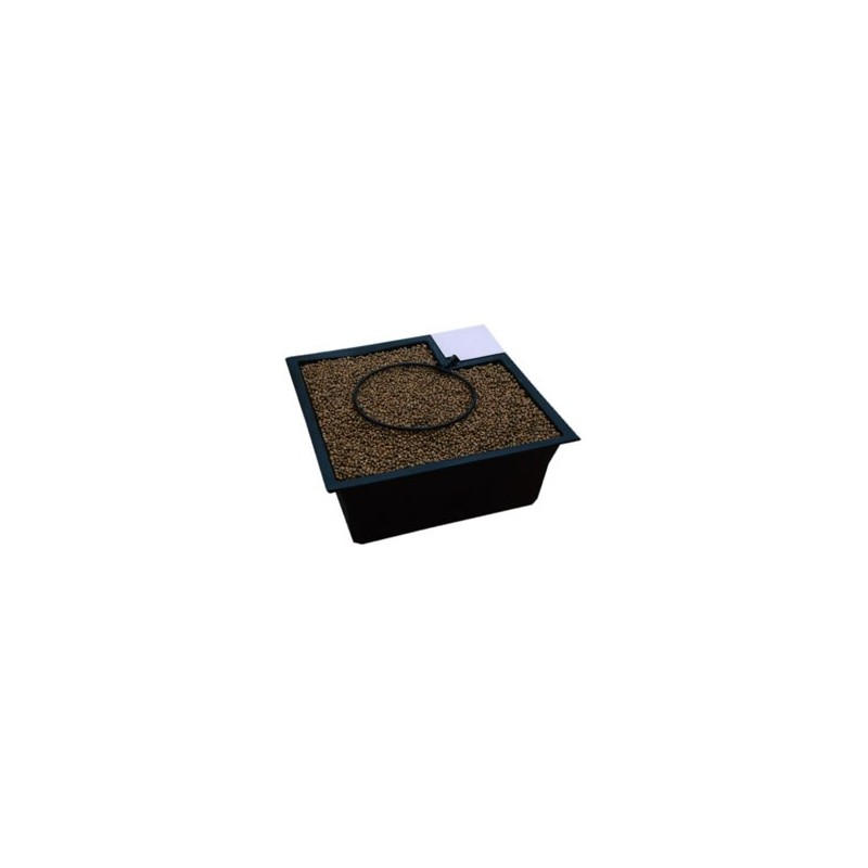 Flo Gro 520