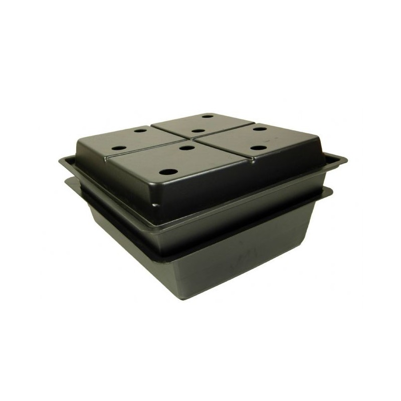 Amazon 8 80x75cm