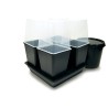 Quadgrow 4 places 60x60cm