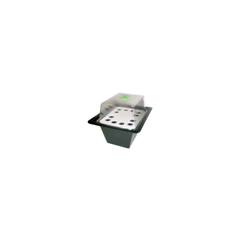 X-Stream Aeroponic Propagators 12 places