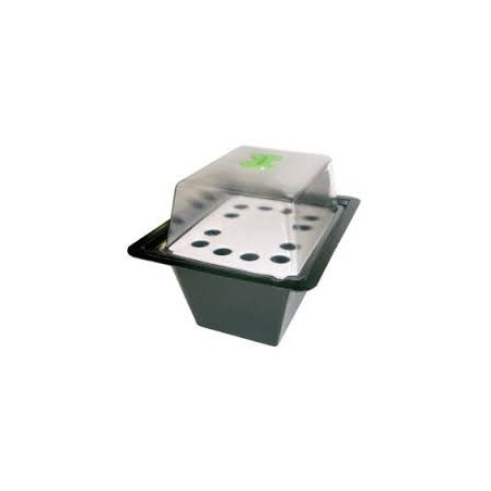 X-Stream Aeroponic Propagators 12 places X-Stream Aeroponic Propagators 12 places