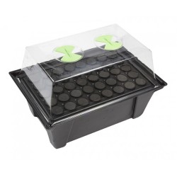 X-Stream Aeroponic Propagators 40 places