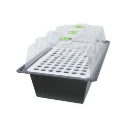 X-Stream Aeroponic Propagators 120 places