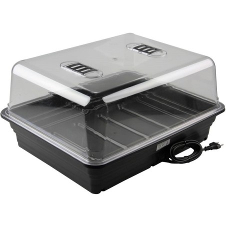 X-Stream Heat Propagator small X-Stream Heat Propagator small