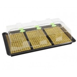X-Stream Heat Propagator Large