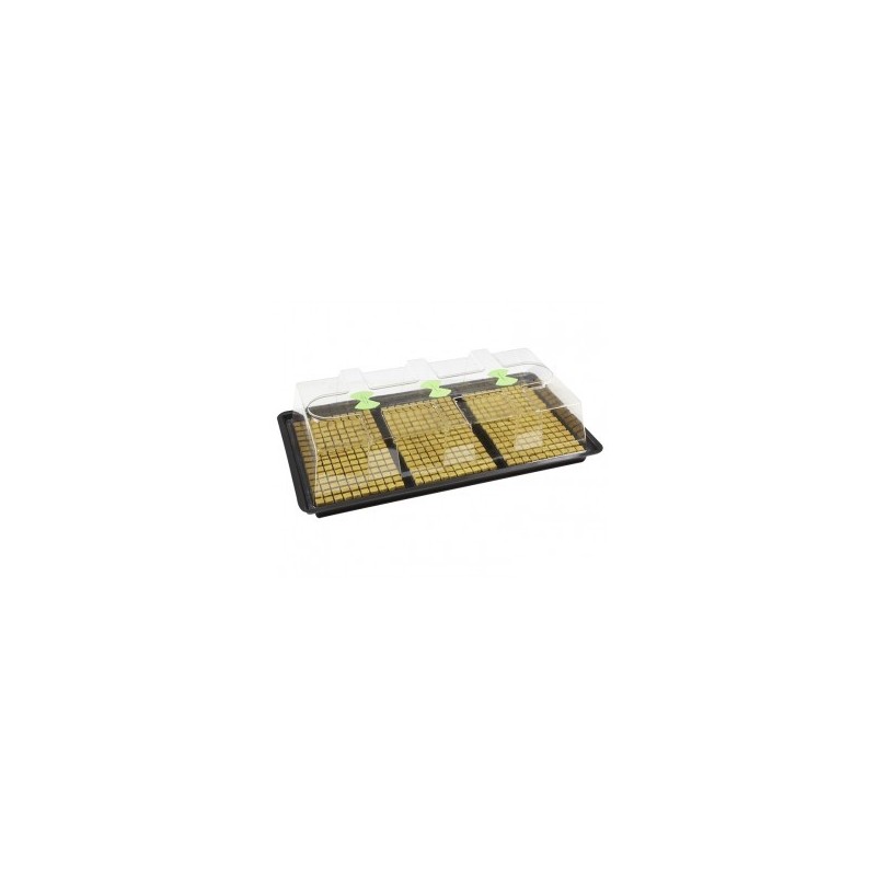 X-Stream Heat Propagator Large