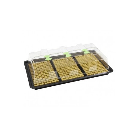 X-Stream Heat Propagator Large X-Stream Heat Propagator Large