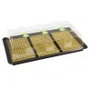 X-Stream Heat Propagator Large