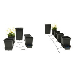 Autopot 4 pots