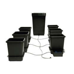 Autopot 6 pots
