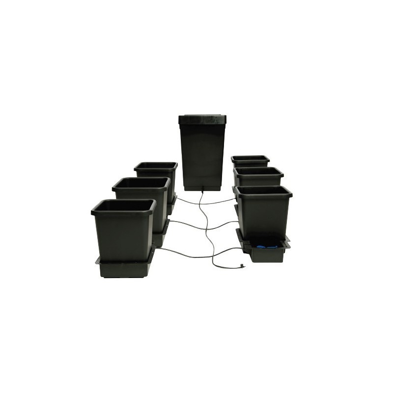 Autopot 6 pots