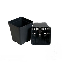 Pot Carré 1 Litre