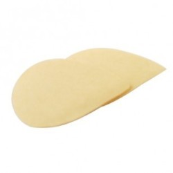 Filtre de rechange pour Queen Bee Extractor