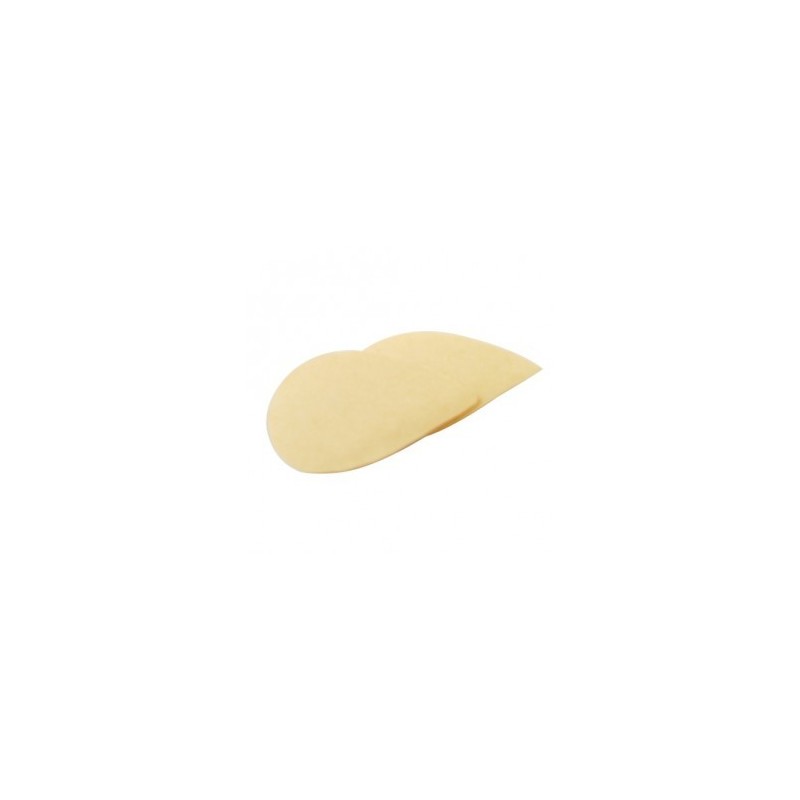 Filtre de rechange pour Queen Bee Extractor