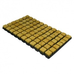 Grodan 77 Cubes laine roche sur plateau 3,5x3,5x4cm