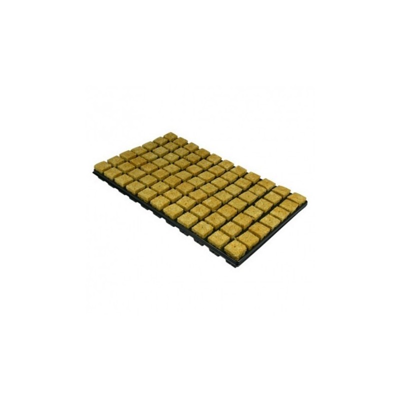 Grodan 77 Cubes laine roche sur plateau 3,5x3,5x4cm