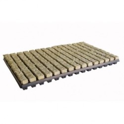 Grodan 150 Cubes laine roche sur plateau 2,5x2,5x4cm 