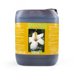 Jungle Bloom 5 litres
