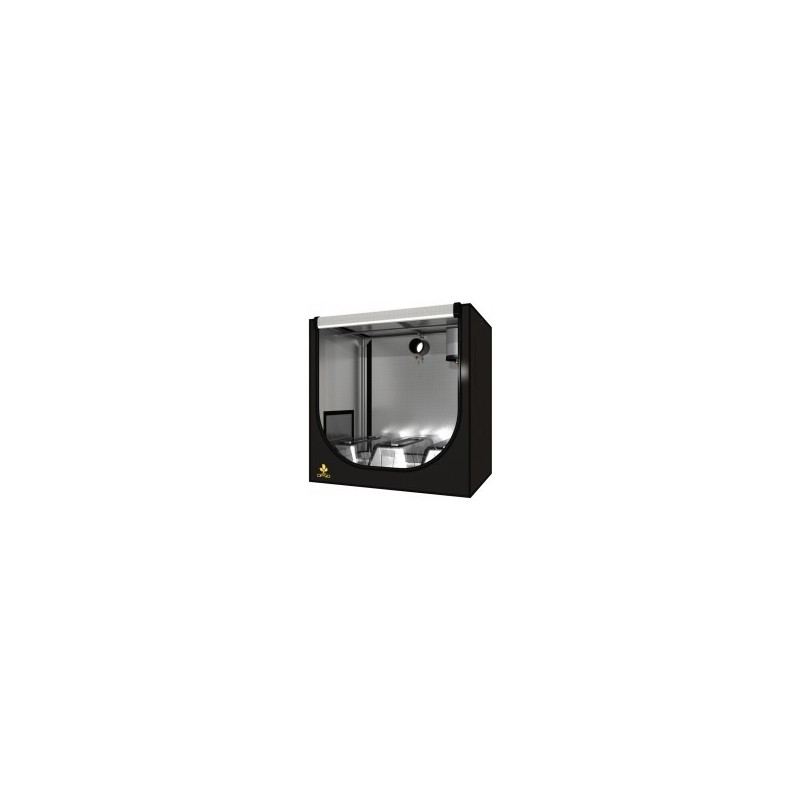 Dark Propagator 90
