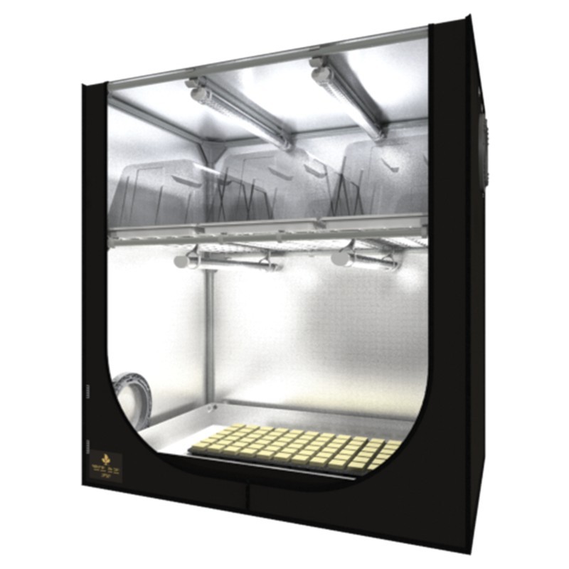 Dark Propagator 120