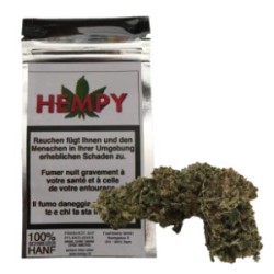CBD Hempy Indoor No.1