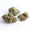 CBD Orange Kush