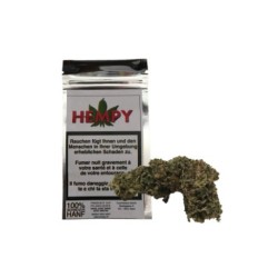 CBD Hempy Intérieur No.1
