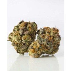 CBD Sonnenfeld Höhlengold 1,19gr.