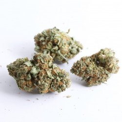 CBD Orange Kush 1,8gr.