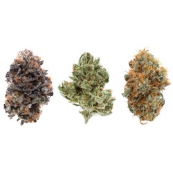 CBD Cannaba Green Lemon 5gr.