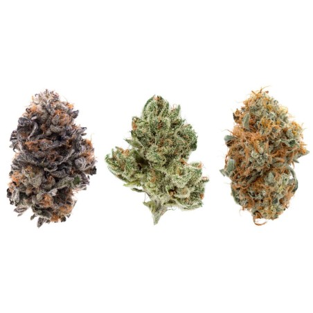 CBD Cannaba Green Lemon 5gr. CBD Cannaba Green Lemon 5gr.