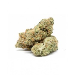 CBD Cannabis Nr.8 (indoor 100% Handmade)