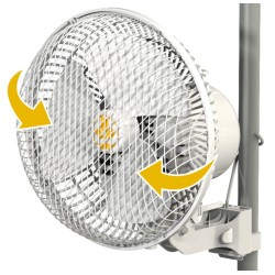 Mammoth Pro L 240x120x200cm
