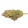 TheBlackCBD Gold 5gr.