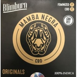 BlimBurn Mamba Negra CBD 20:1 9x graines.