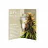 ONE - Super Silver CBD 3x Graines feminisée