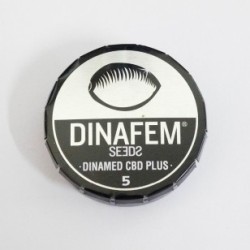 Dinamed CBD+ 5x Graines