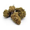 White Shark 10Gr.