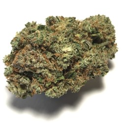 LEMON 10 GR.