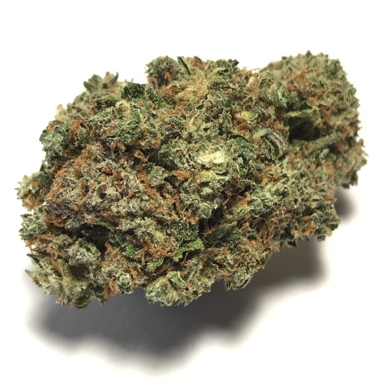 LEMON 10 GR.