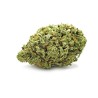 TROPICAL MANGO 10GR.