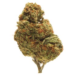 COOKIES 10GR.