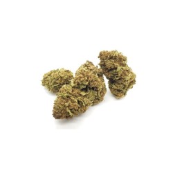 BLACK HOLE 10GR.