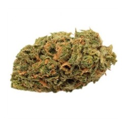 CANNATONIC 10GR.