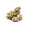 HARLEQUIN 10GR.