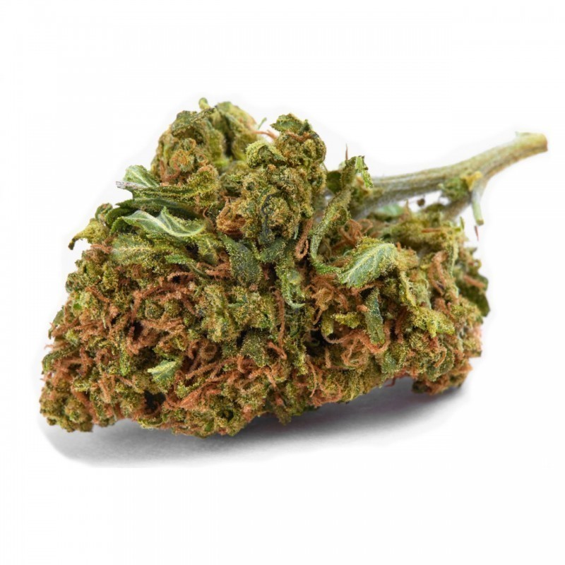ICE 10GR.