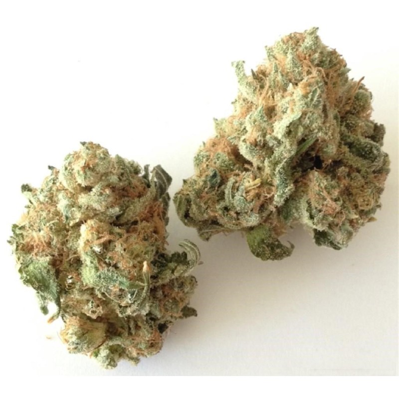 SUPREME CBD WHITE WIDOW 10GR.
