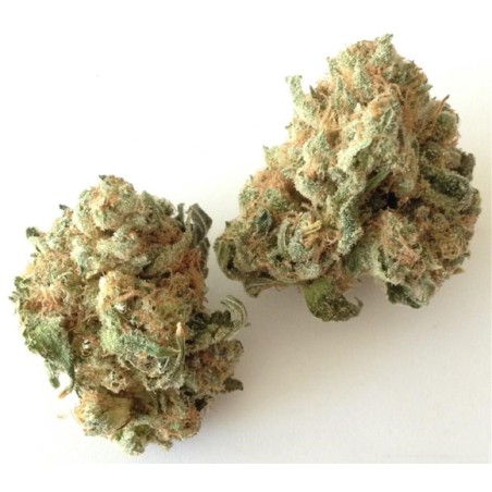 SUPREME CBD WHITE WIDOW 10GR. SUPREME CBD WHITE WIDOW 10GR.